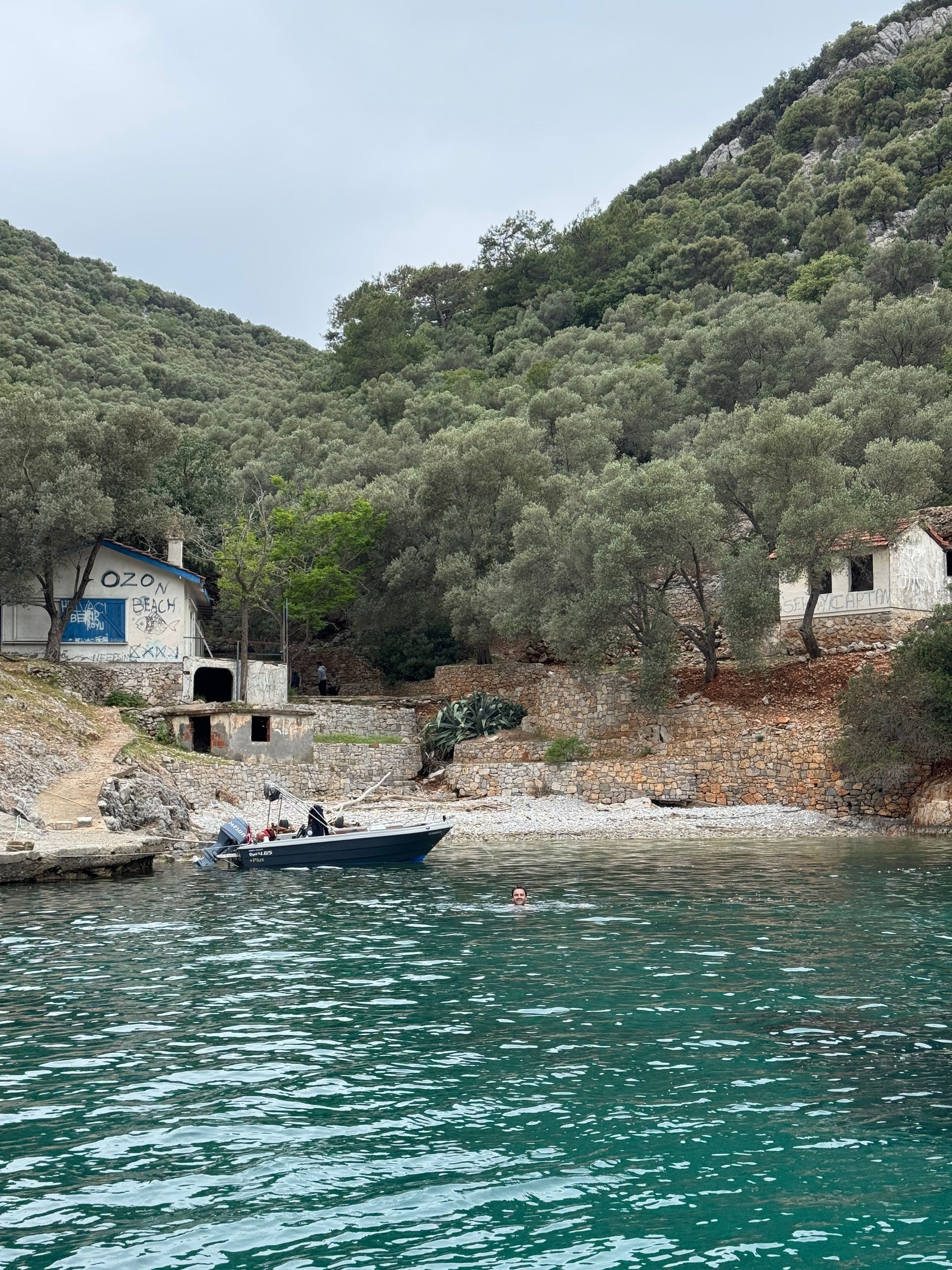 albanie