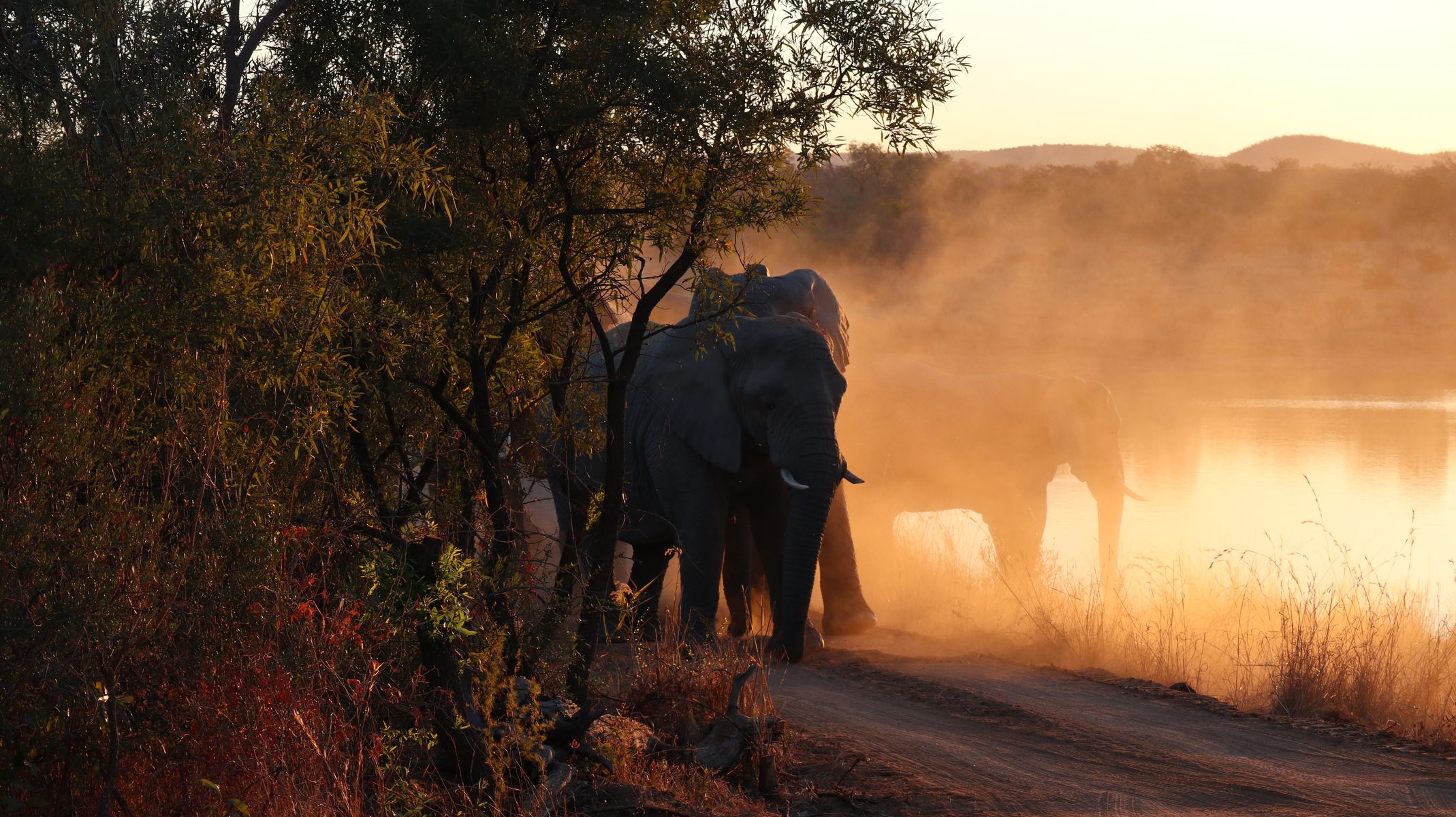 botswana