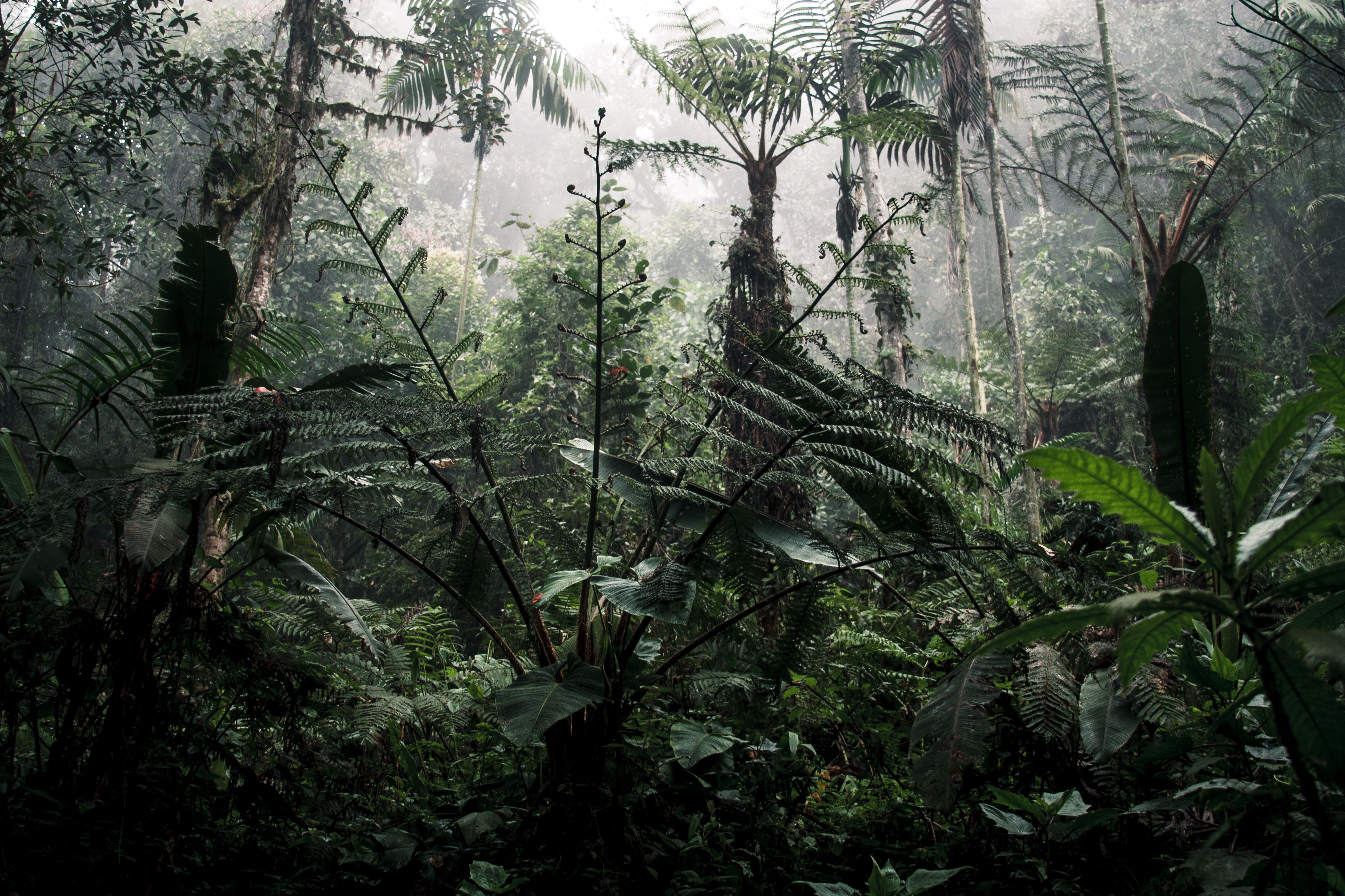 costa-rica