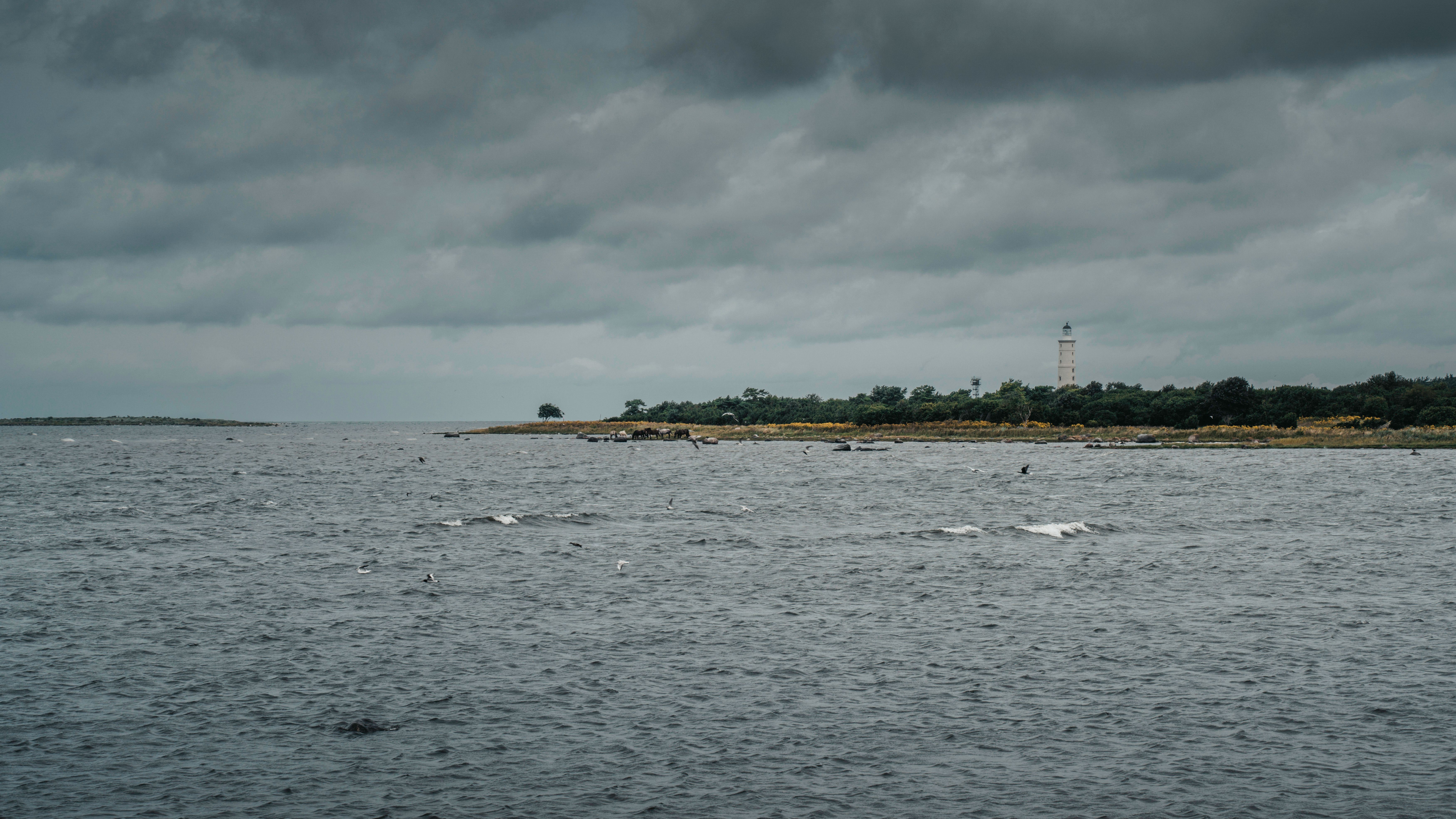 estland