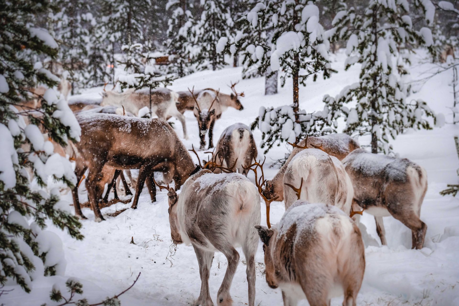 finland