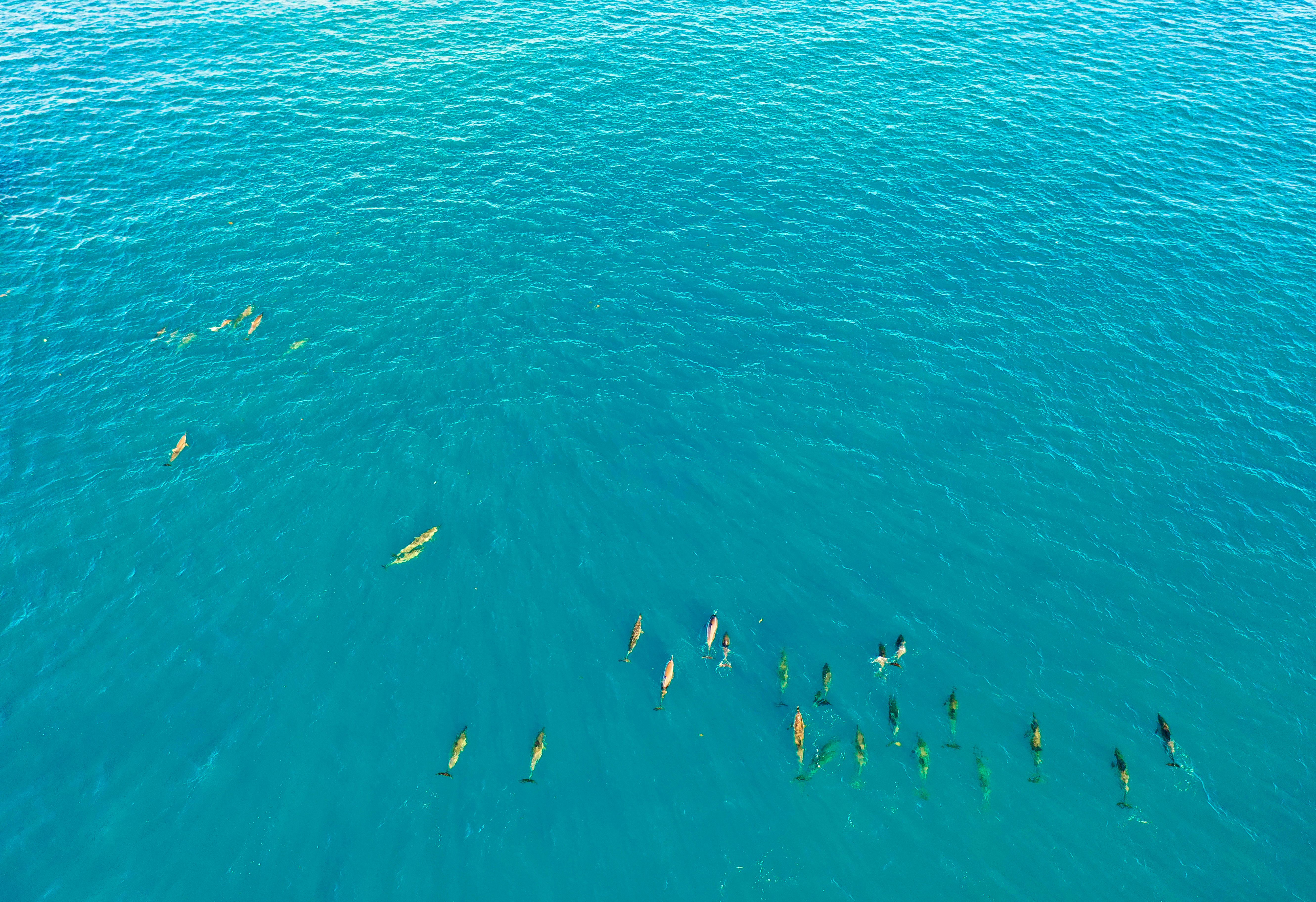 mauritius