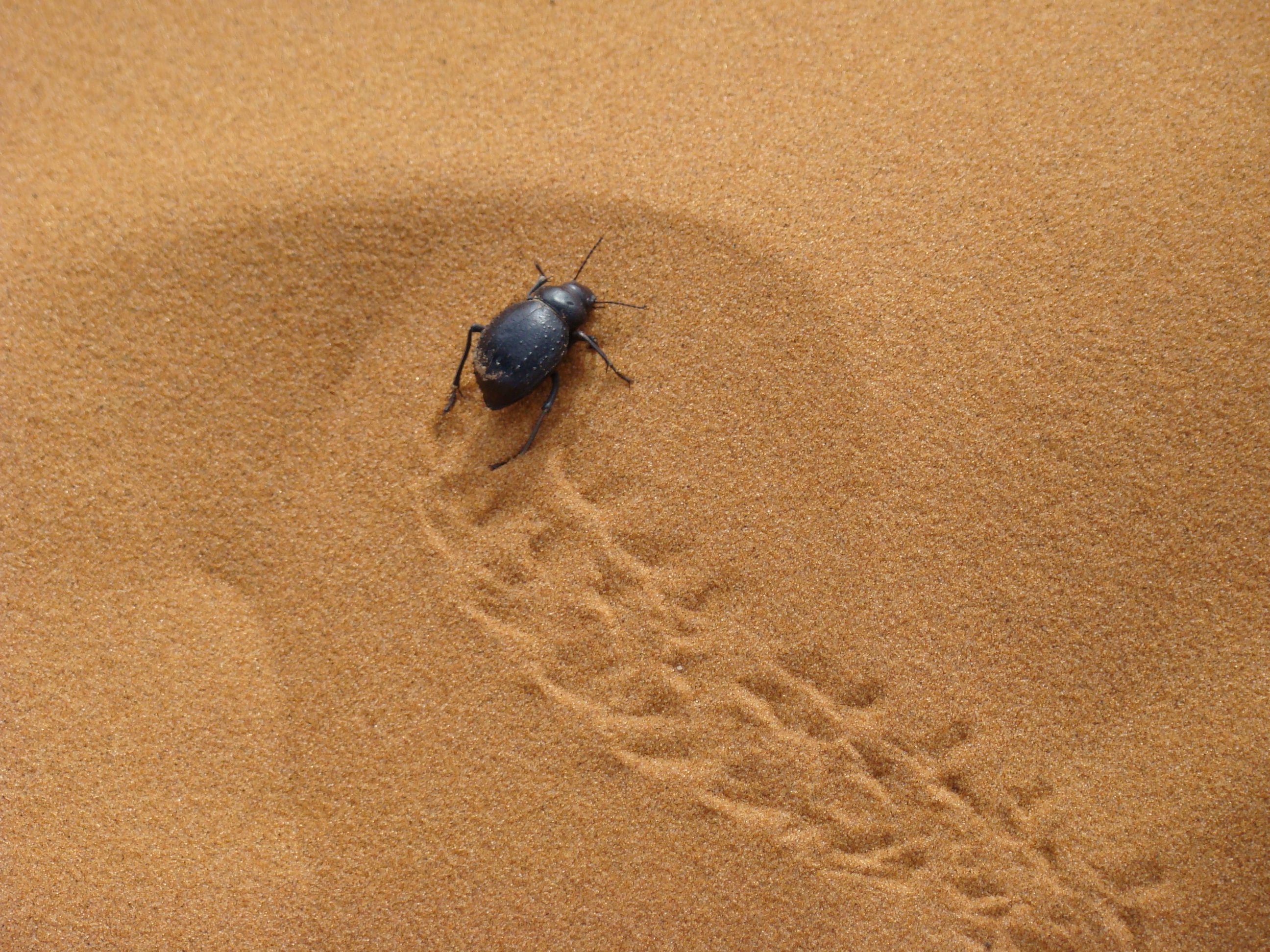 namibie