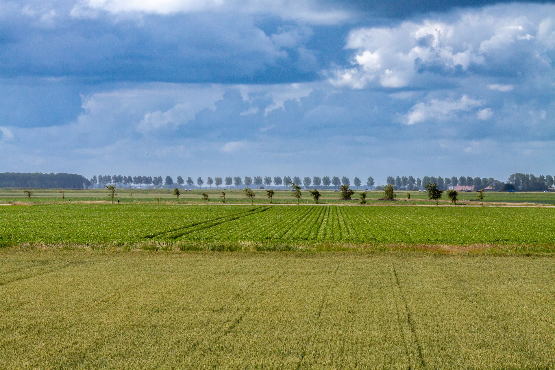 Nederland