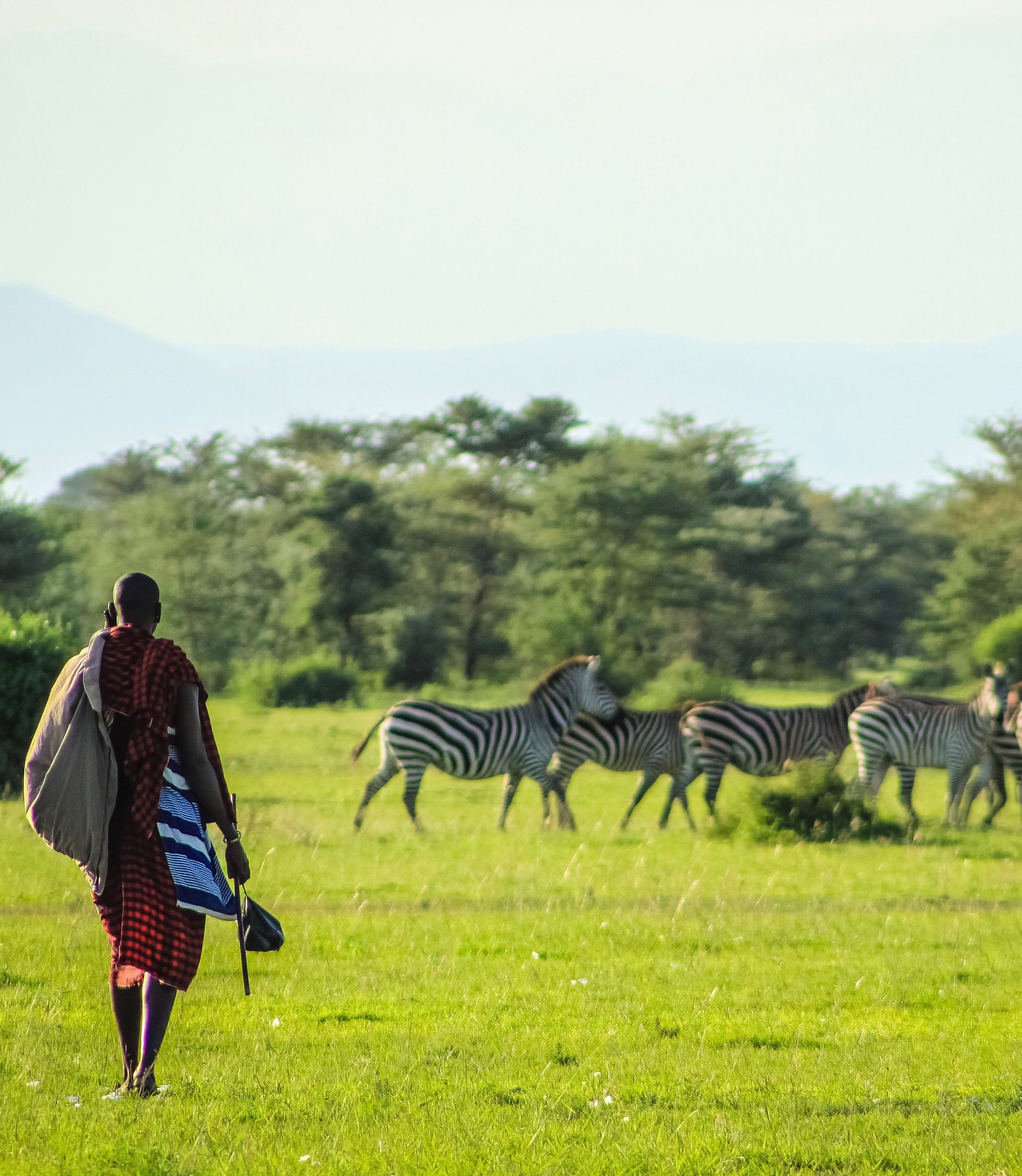 tanzania