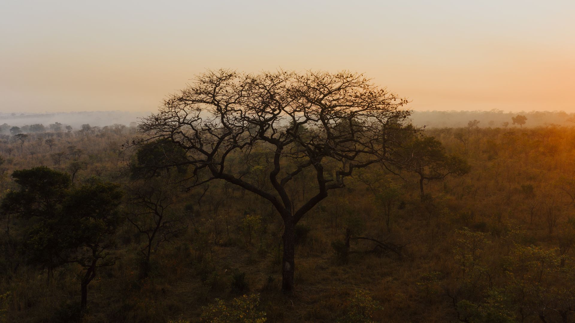 zimbabwe