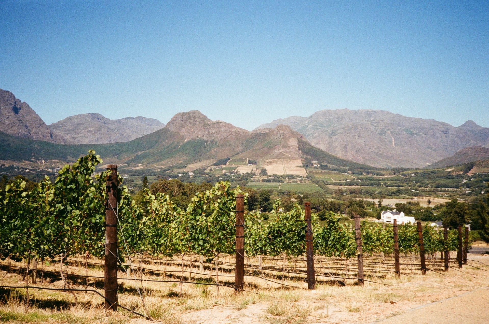 zuid-afrika